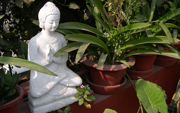 images3